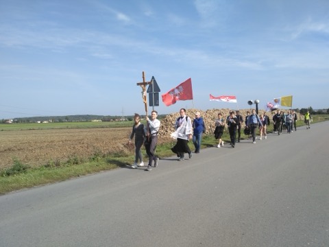 I Piesza Pielgrzymka Tradycji do Wąwolnicy, 2020 — fotografia 3