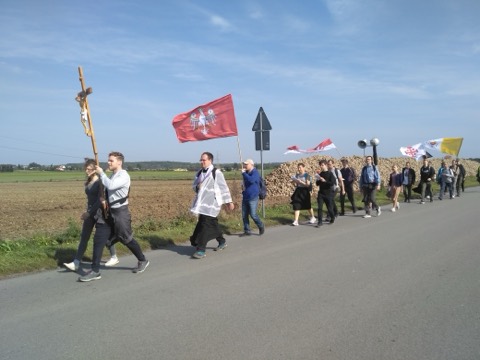I Piesza Pielgrzymka Tradycji do Wąwolnicy, 2020 — fotografia 4