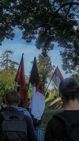 I Piesza Pielgrzymka Tradycji do Wąwolnicy, 2020 — fotografia 40
