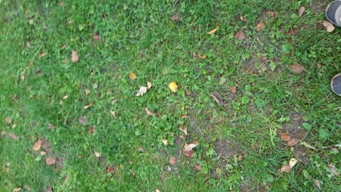 II Piesza Pielgrzymka Tradycji do Wąwolnicy, 2021 — fotografia 14