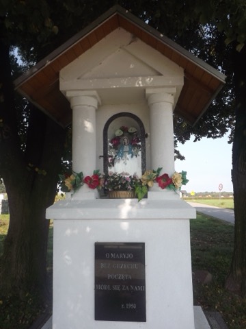 II Piesza Pielgrzymka Tradycji do Wąwolnicy, 2021 — fotografia 45