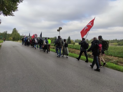 VI Piesza Pielgrzymka Tradycji do Wąwolnicy, 2025 — fotografia 8