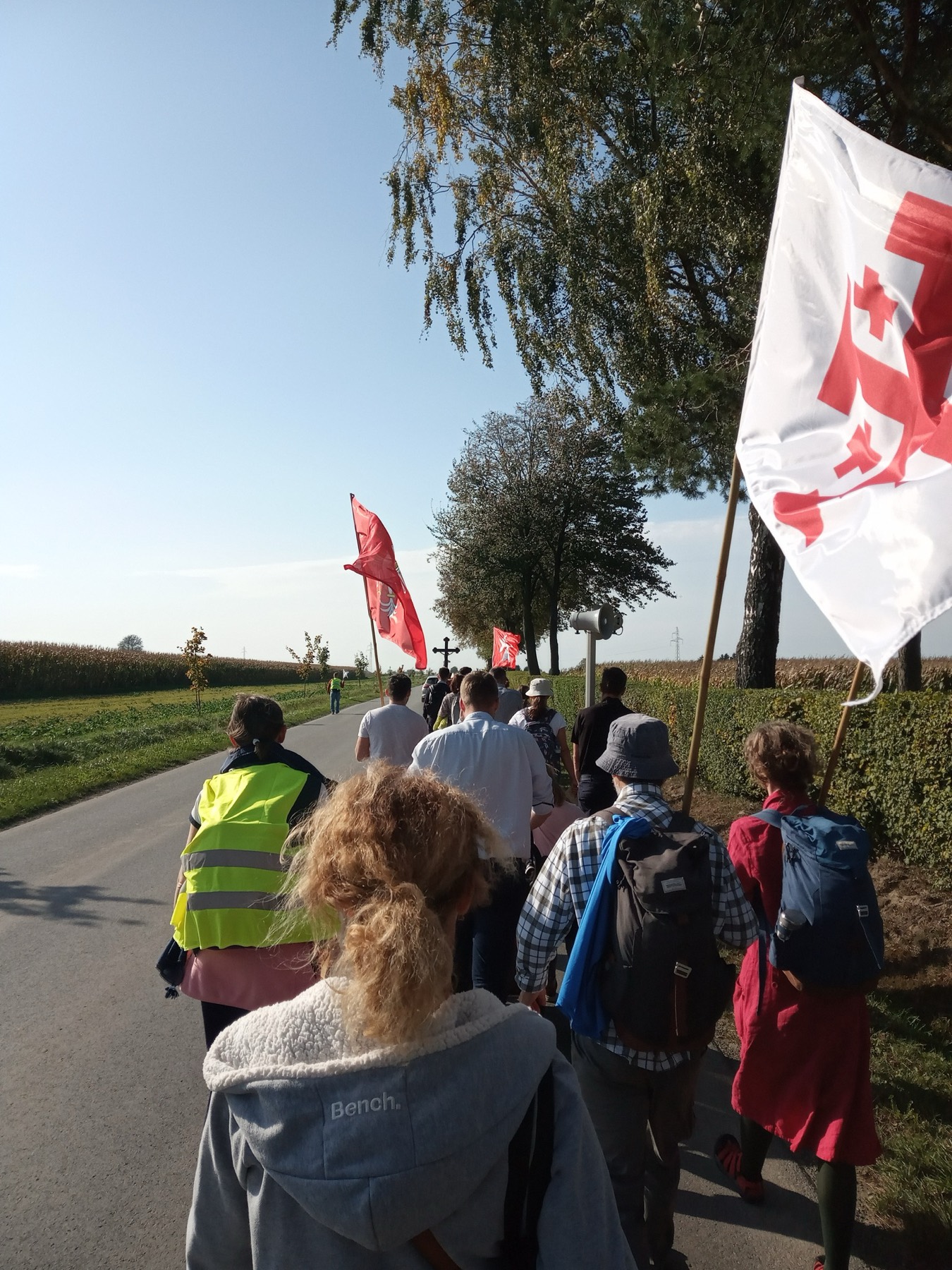 Pątnicy z chorągwiami na drodze wśród pól Lubelszczyzny podczas Pieszej Pielgrzymki Tradycji do Wąwolnicy